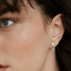 Blue Uirapuru Earrings