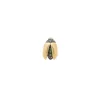 Mini Gold Fly Wing Scarab Stud
