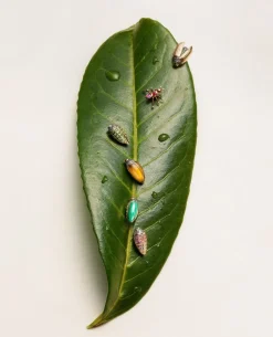 Mini Scarab Stud Earring Closed - Pink