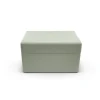 Mint Mini Trunk