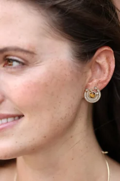 Tiger's Eye Chakra Round Earrings