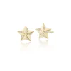 Tiny Star Studs